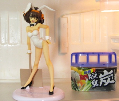 冷蔵庫で涼むハルヒwww